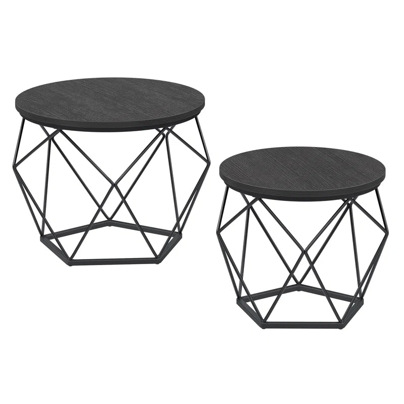 Apison 2 Piece Coffee Table Set