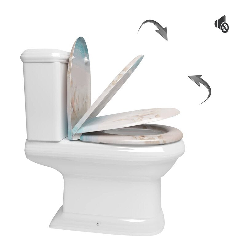 Dejoire Soft Close Elongated Standard Toilet Seat