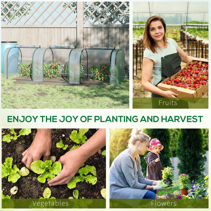 Annedoris 9.67 Ft W x 3.2 Ft D Mini Greenhouse