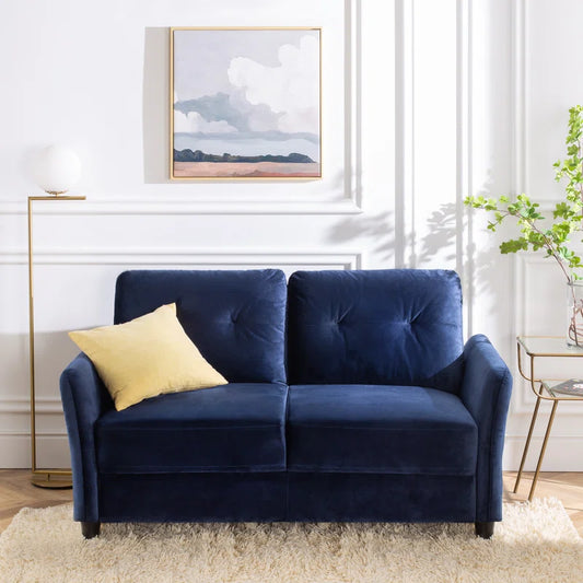 Naveen 2 Seater Velvet Loveseat