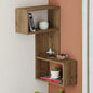 Arev Wall Mounted Corner Shelf