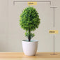Artificial Plants