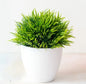 Artificial Plants