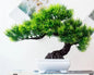 Artificial Plants