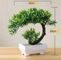 Artificial Plants