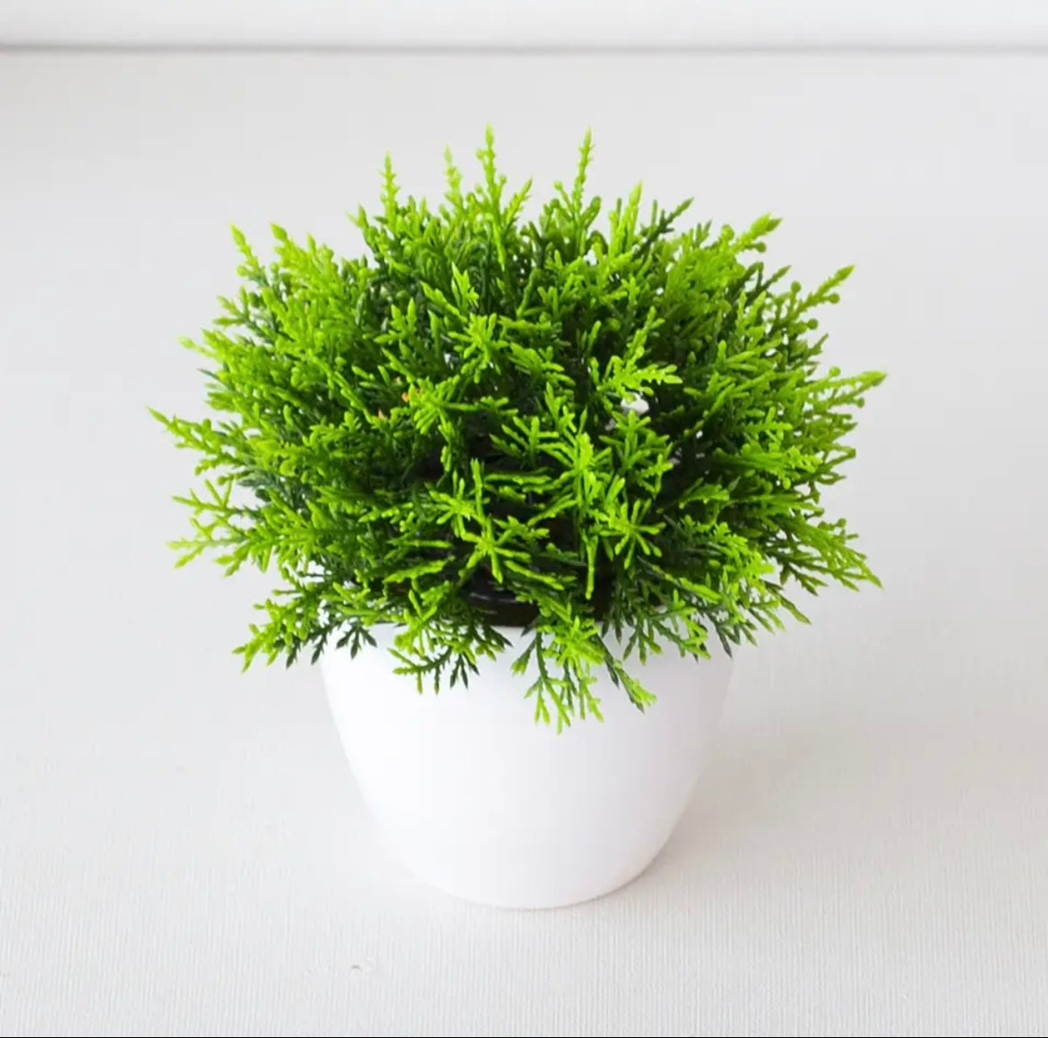 Artificial Plants