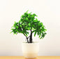 Artificial Plants