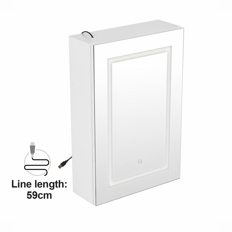 Royceton 400mm W 600mm H Surface Frameless Medicine Cabinet Mirror Fixed
