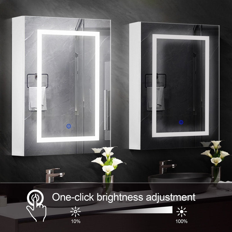 Royceton 400mm W 600mm H Surface Frameless Medicine Cabinet Mirror Fixed