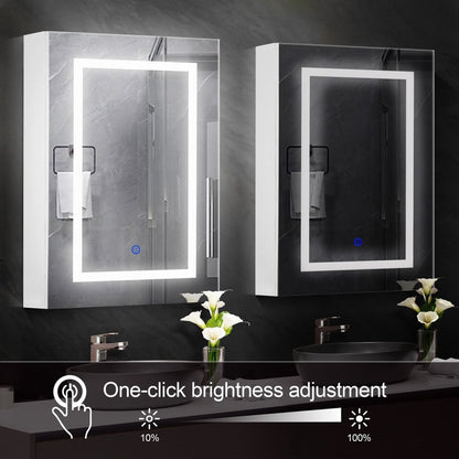 Royceton 400mm W 600mm H Surface Frameless Medicine Cabinet Mirror Fixed