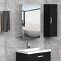 Gatlinburg 460mm W 660mm H Surface Frameless Medicine Cabinet with Mirror and 3 Fixed Shelves