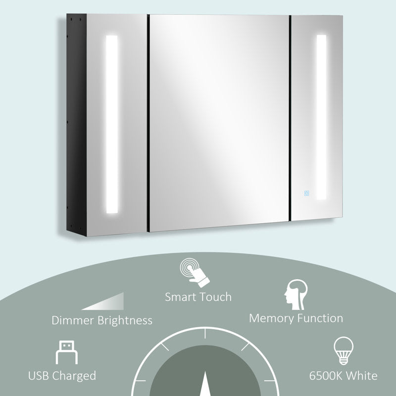 Bathroom 650mm x 900mm Surface Mount Mirror Cabinet with LED Lighting