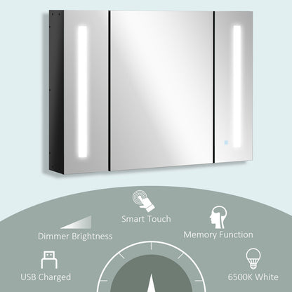 Bathroom 650mm x 900mm Surface Mount Mirror Cabinet with LED Lighting