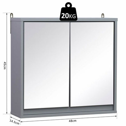 Breault 480mm W 450mm H Surface Framed Medicine Cabinet with Mirror and 1 Adjustable Shelf