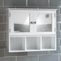 Milano 60mm W 50mm H Surface Frameless Medicine Cabinet with Mirror and 1 Adjustable Shelf
