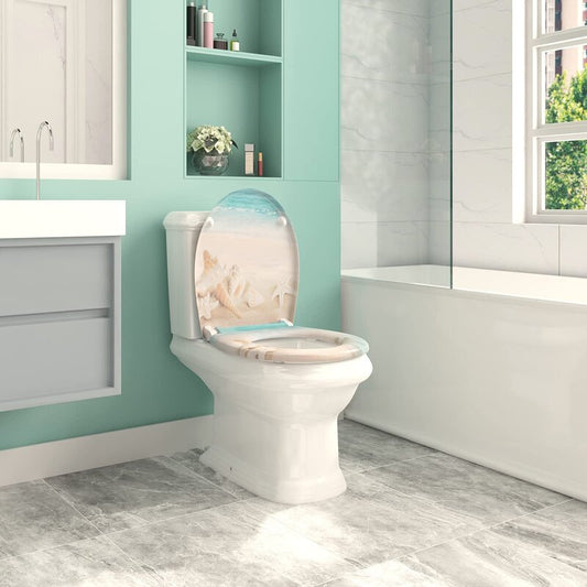Dejoire Soft Close Elongated Standard Toilet Seat