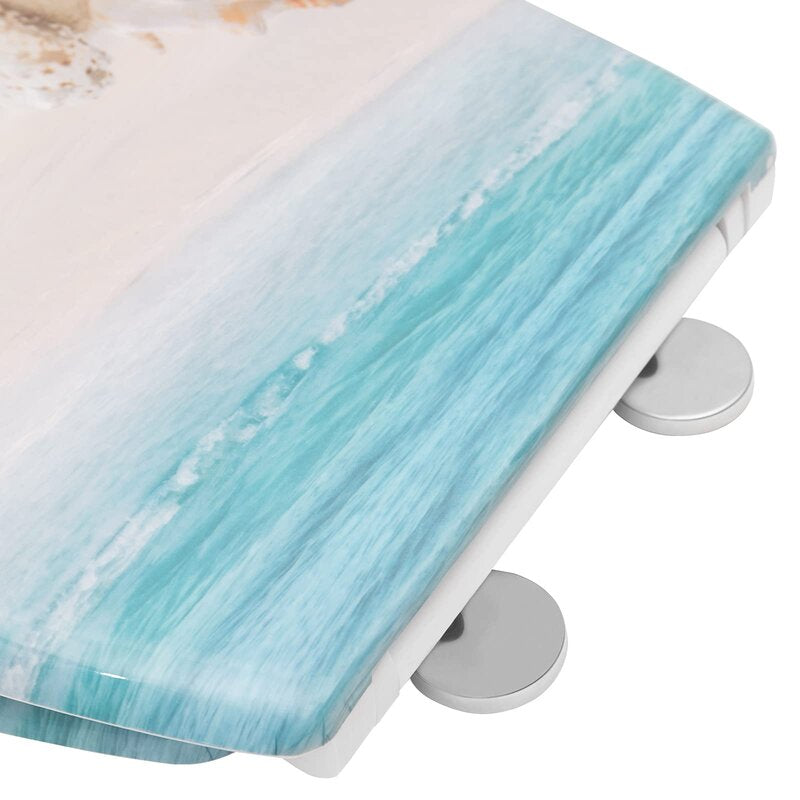 Dejoire Soft Close Elongated Standard Toilet Seat